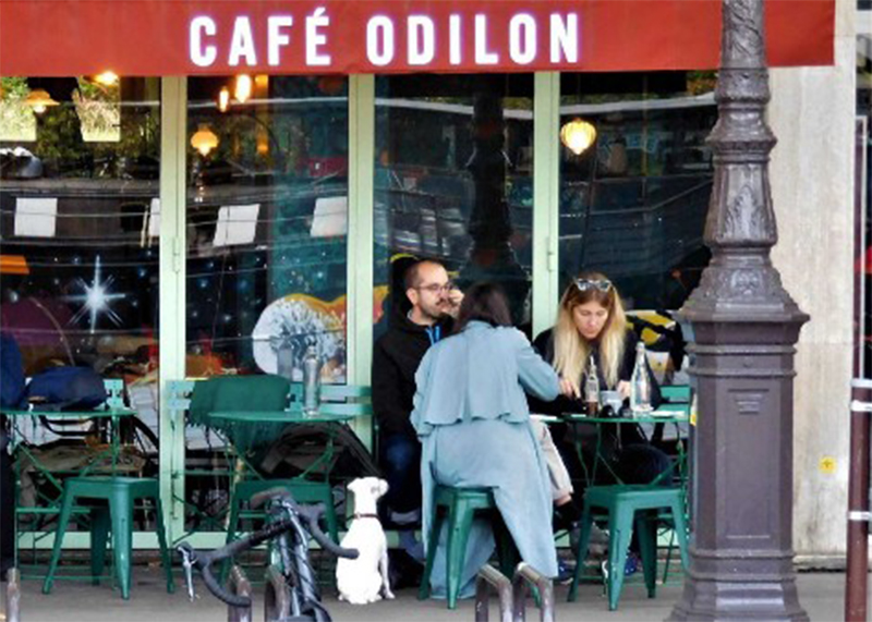 You are currently viewing La lettre d’Odilon N° 54