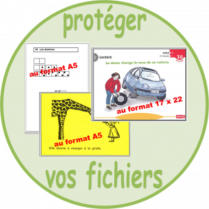 Protéger vos fichiers